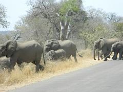 Suedafrika (168)